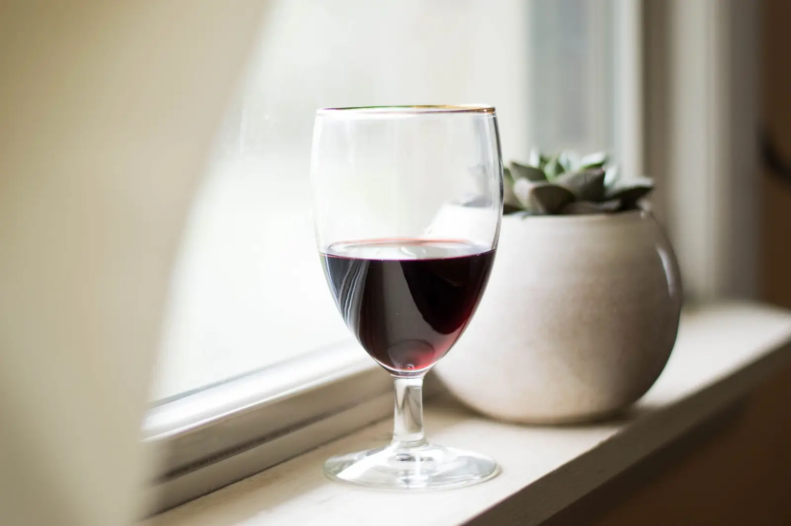 A glass of red wine on a sunlit windowsill beside a small potted succulent