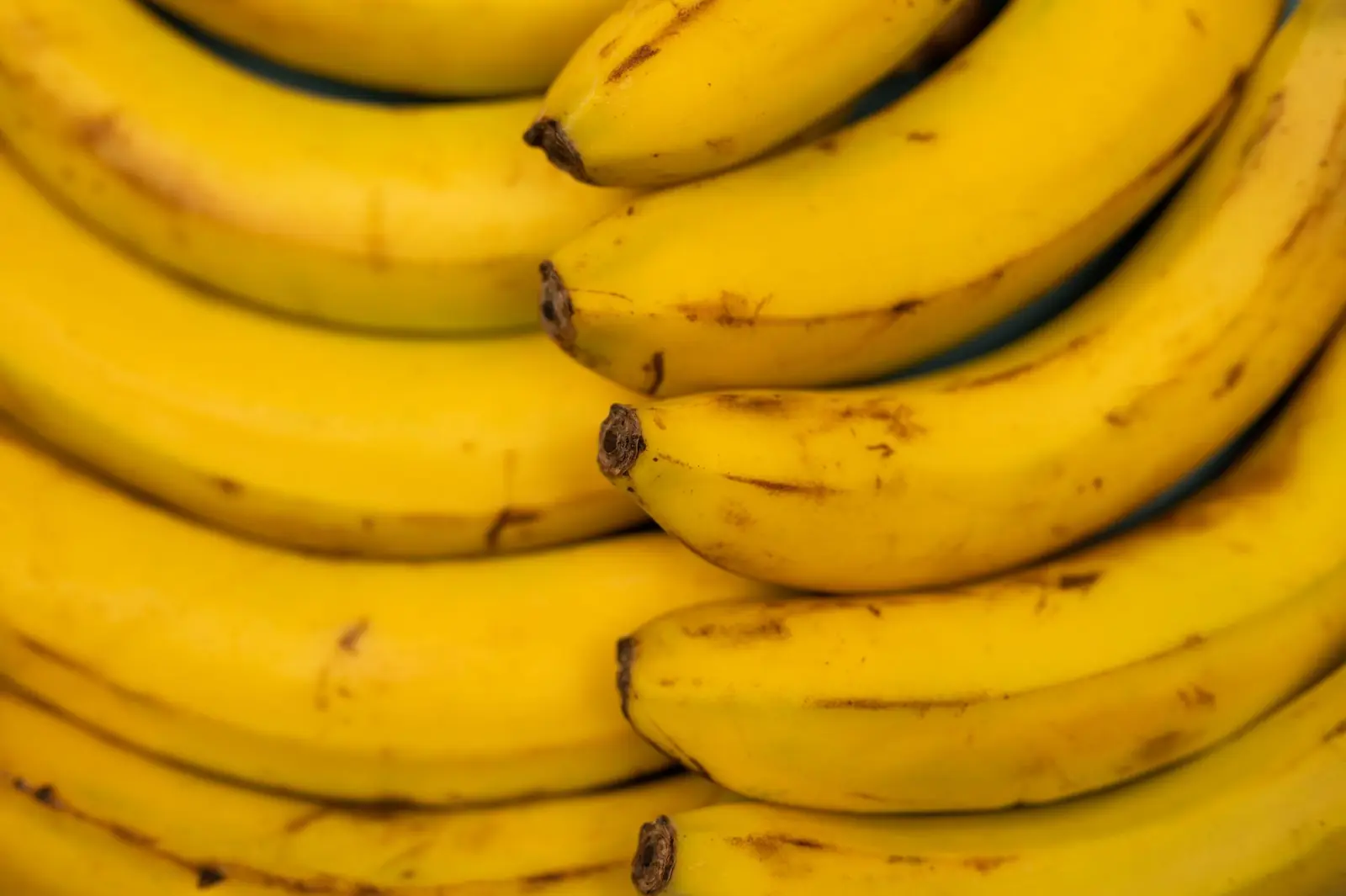 Overhead close view of ripe yellow bananas with a few brown speckles on the peel