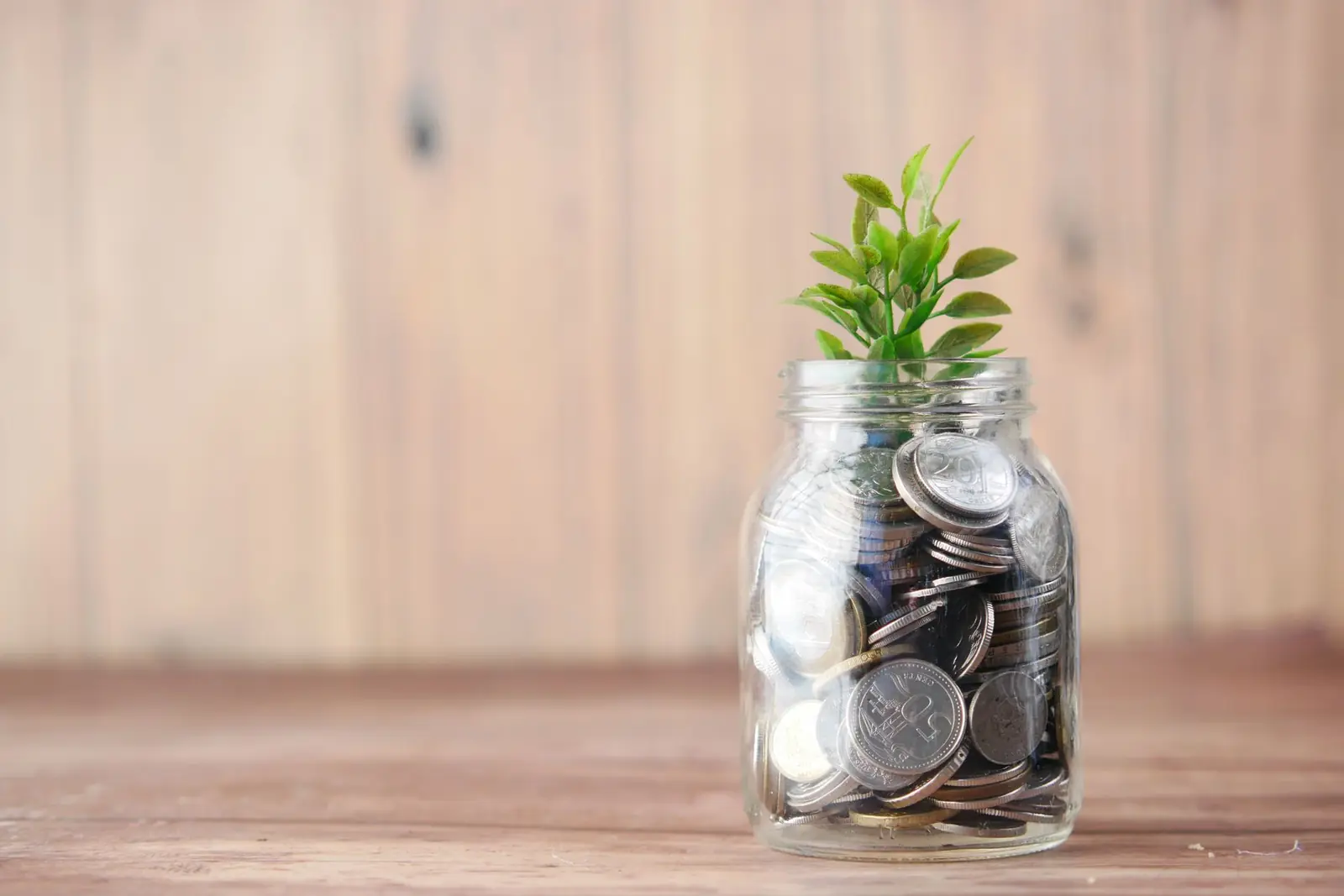 A glass jar of coins with a small green plant growing from it on a wooden table