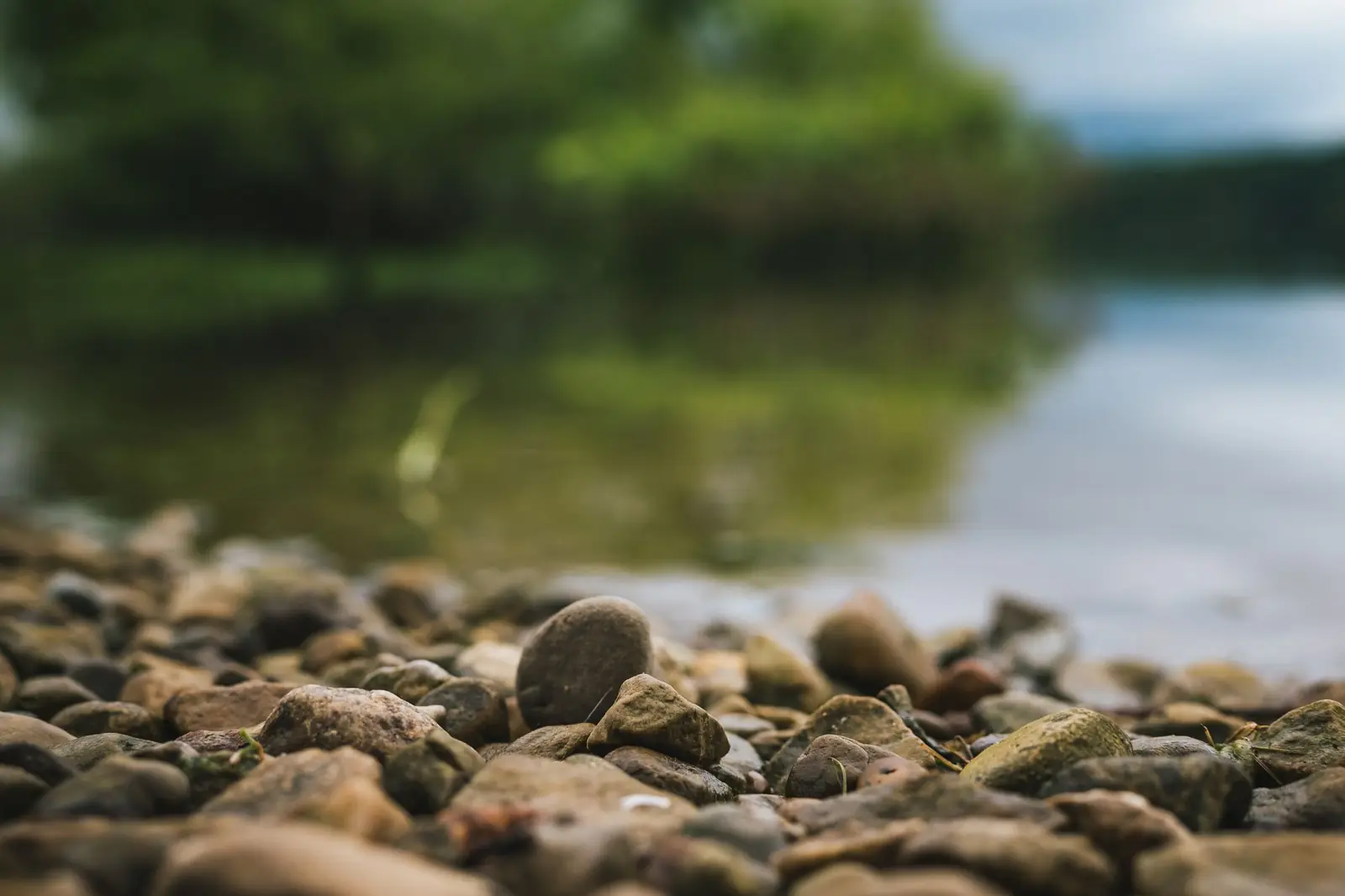 Smooth pebbles on a lakeshore in the foreground, with still water and green trees softly blurred behind