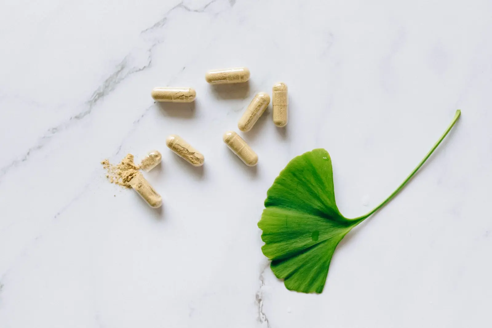 Pale herbal capsules and a single ginkgo leaf on a white marble surface