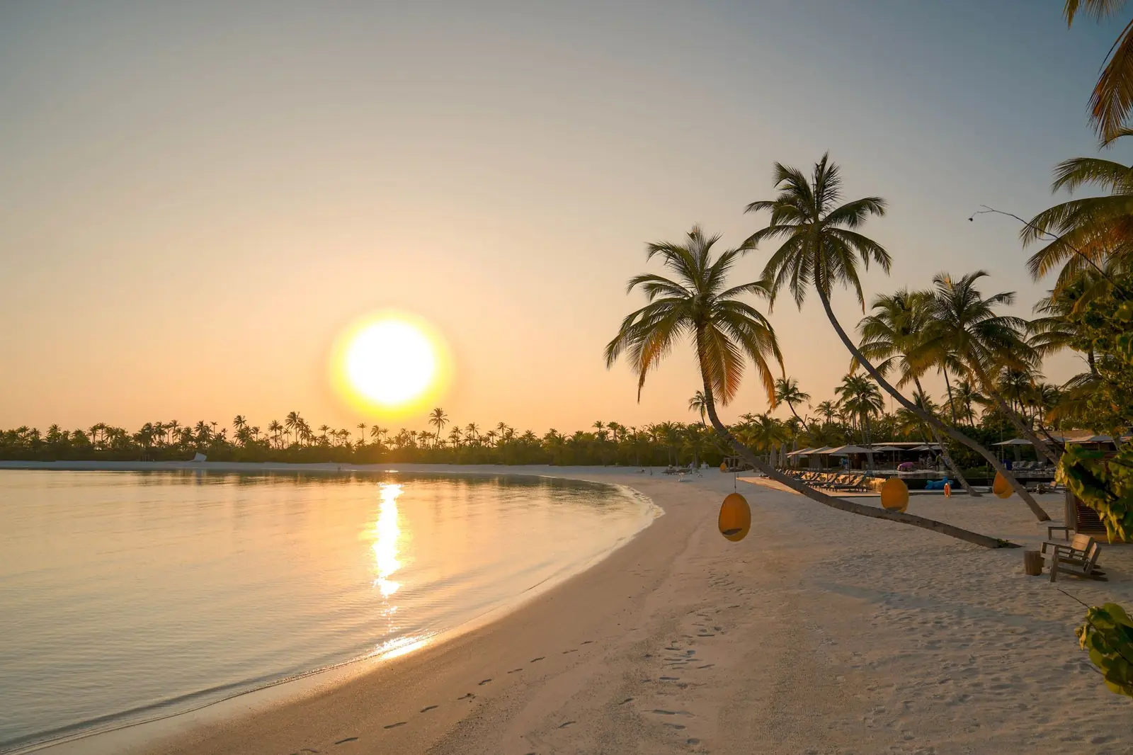 A calm beach at sunset with palm trees leaning over smooth water and soft golden light
