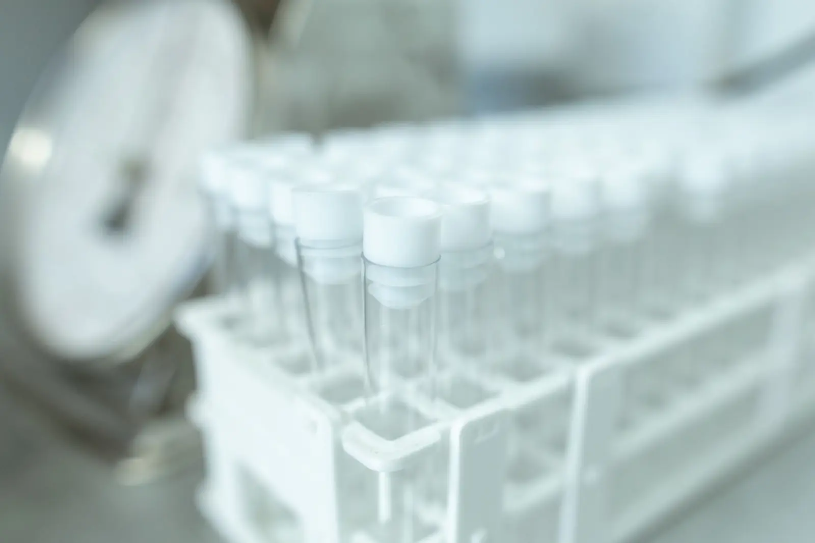 Rows of clean, empty capped test tubes standing in a white rack in a bright laboratory.